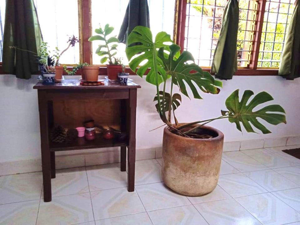 Casa Natura San Cristóbal de Las Casas 外观 照片
